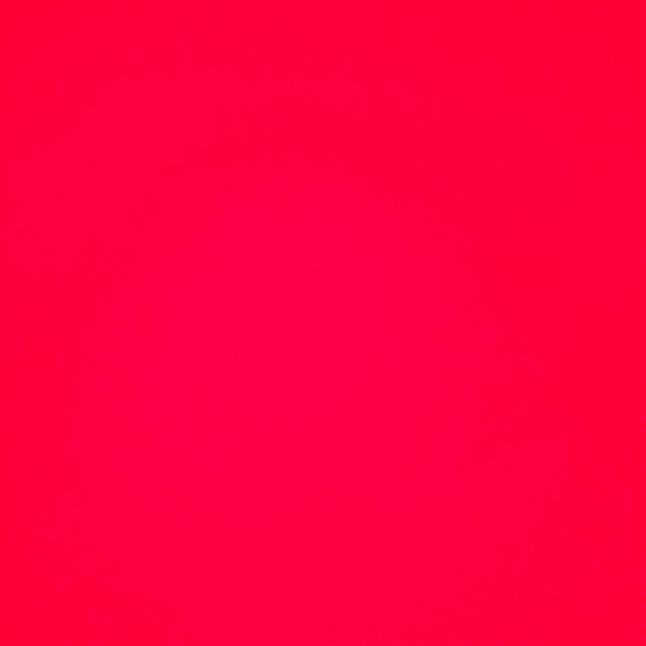 Meet your Posher, Rudy - Picture 1 of 1